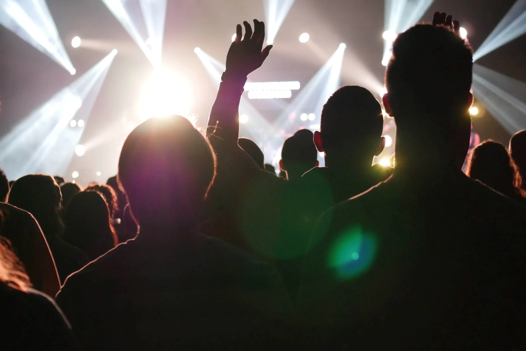 silhouette of people in a concert